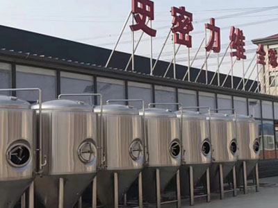 天涯镇精酿啤酒设备厂—如何判断精酿啤酒设备的密封件需要更换？